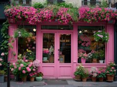 Flowers: Their Beauty, Significance, and Role in Human Life